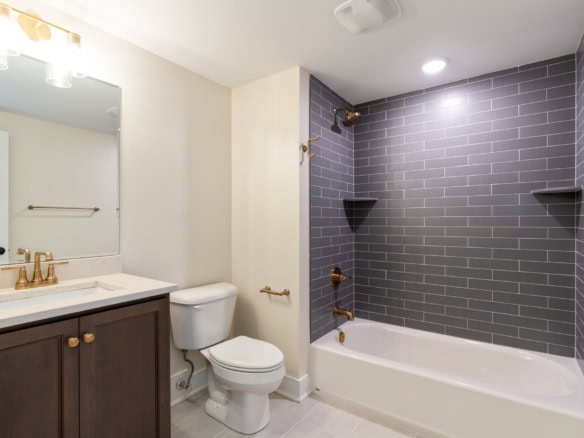 Bathroom with dark gray tile shower, white bathtub, and contemporary fixtures.