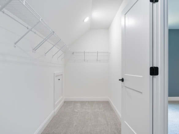 Spacious walk-in closet with white shelving and neutral carpet flooring.