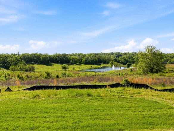 Scenic view of lush green fields, trees, and a river under a blue sky.