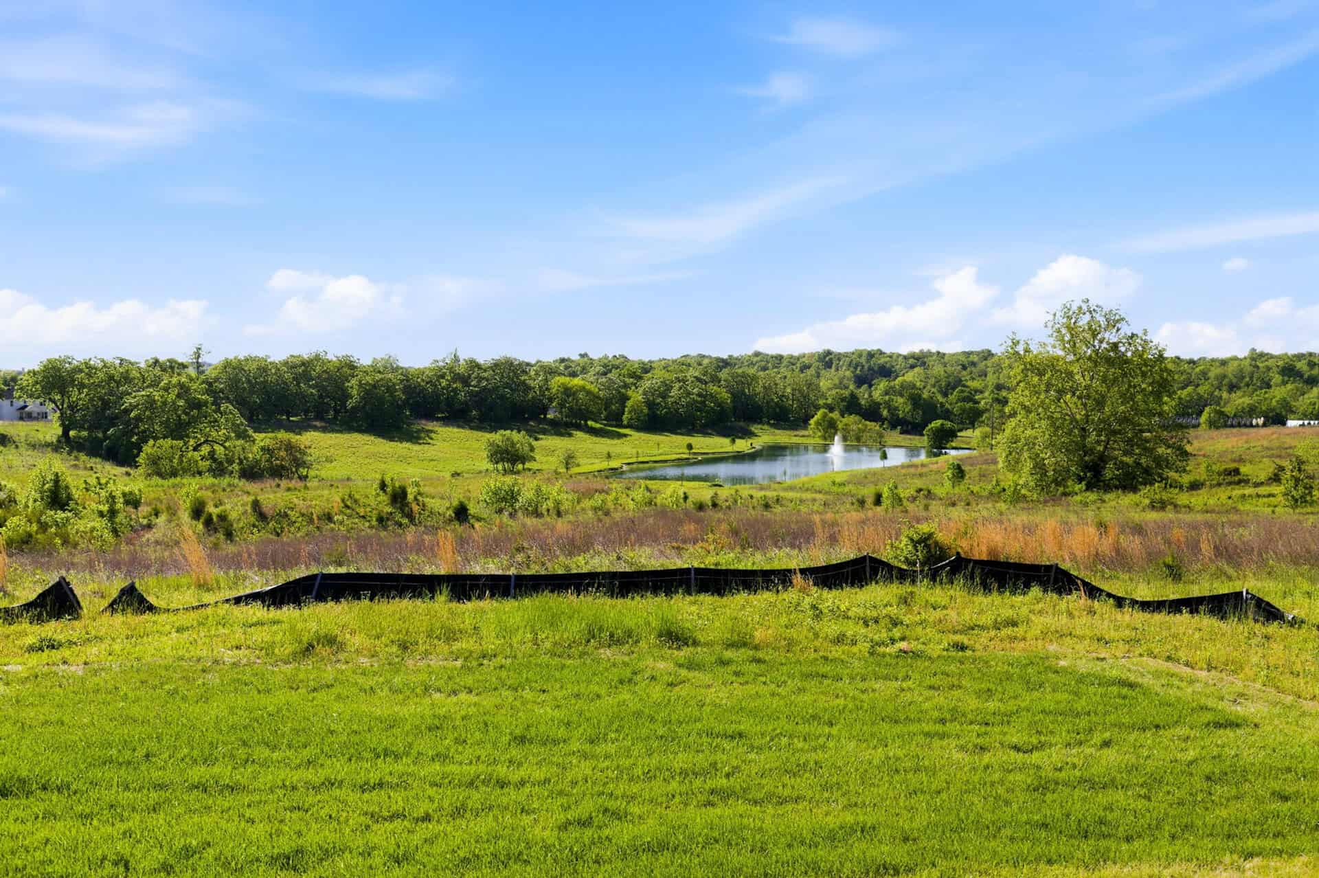 Scenic view of lush green fields, trees, and a river under a blue sky.