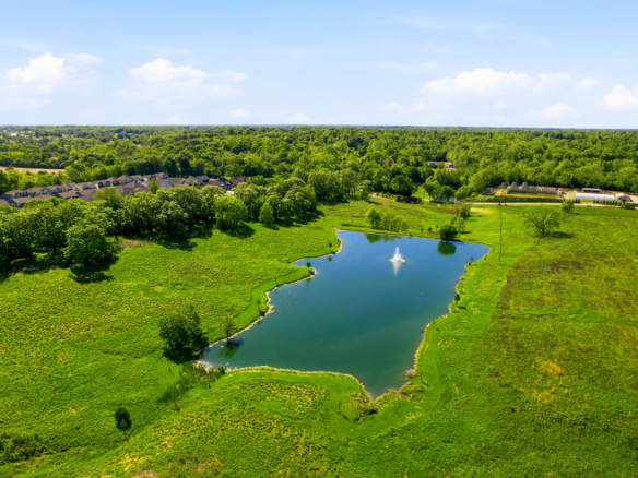 Aerial view of a lush green landscape with a winding pond and fountain, surrounded by trees and distant houses.