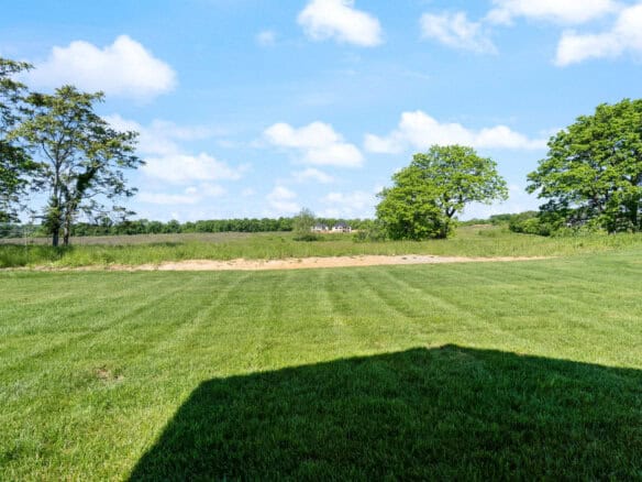 Open grassy field with trees and blue sky in the background.