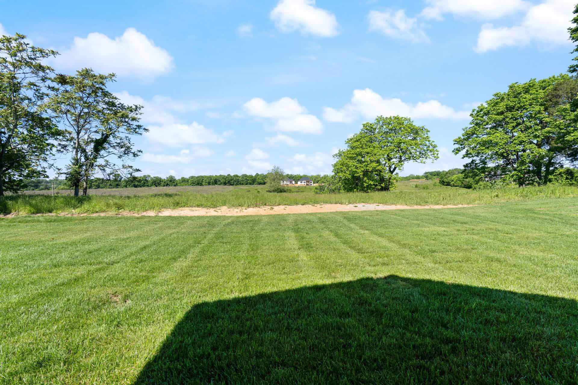 Open grassy field with trees and blue sky in the background.