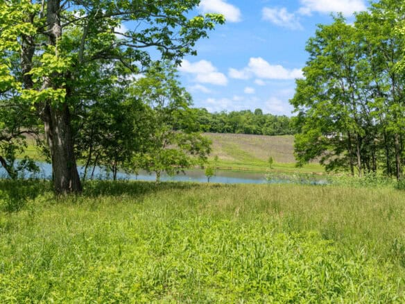 Scenic view of lush green trees and a pond under a blue sky with clouds.