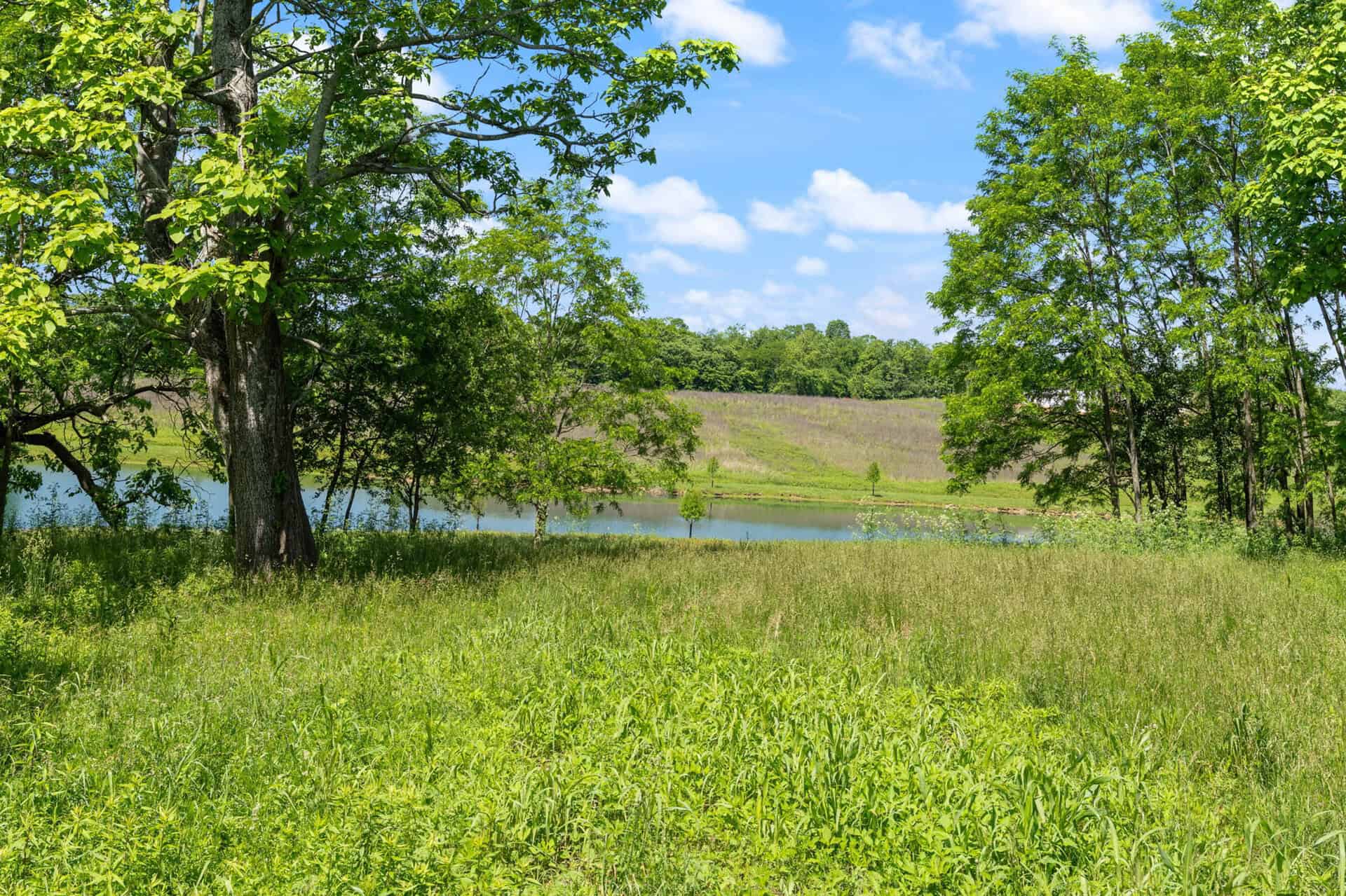 Scenic view of lush green trees and a pond under a blue sky with clouds.